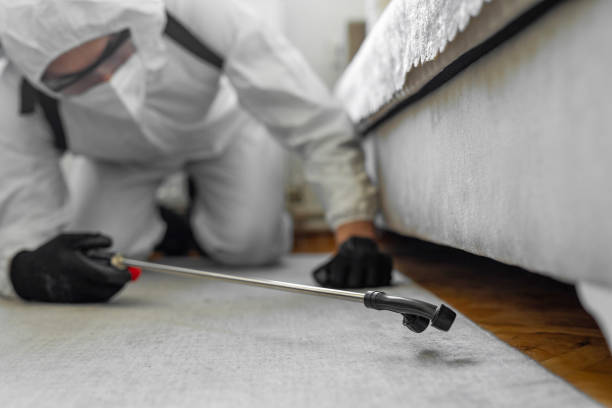 Professional Bed Bug Control technician working in Mount Rainier, MD