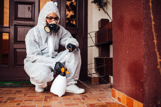Reliable Bed Bug Control contractor in Mount Rainier, MD by Nex Pest Control